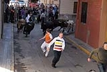 Xilxes inicia Sant Vicent con un encierro limpio, pero un hombre de 80 años herido de  toro por la tarde