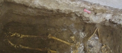 descobreixen-un-esquelet-en-la-nau-central-de-la-capella-del-convent-de-benicarlo