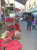 La 507 edición de la Fira de Sant Andreu convierte a Cabanes en el foco de la agricultura y ganadería tradicional