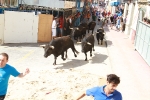 El segundo encierro de toros cerriles de Burriana se desarrolla sin incidentes