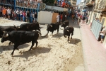 El segundo encierro de toros cerriles de Burriana se desarrolla sin incidentes