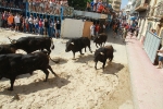 El segundo encierro de toros cerriles de Burriana se desarrolla sin incidentes