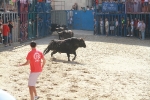 El segundo encierro de toros cerriles de Burriana se desarrolla sin incidentes