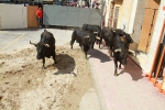 El segundo encierro de toros cerriles de Burriana se desarrolla sin incidentes