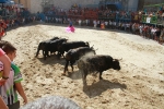 El segundo encierro de toros cerriles de Burriana se desarrolla sin incidentes