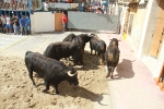 El segundo encierro de toros cerriles de Burriana se desarrolla sin incidentes