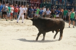 El segundo encierro de toros cerriles de Burriana se desarrolla sin incidentes