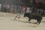 El segundo encierro de toros cerriles de Burriana se desarrolla sin incidentes