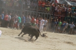 El segundo encierro de toros cerriles de Burriana se desarrolla sin incidentes