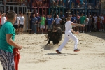 El segundo encierro de toros cerriles de Burriana se desarrolla sin incidentes