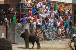 El segundo encierro de toros cerriles de Burriana se desarrolla sin incidentes