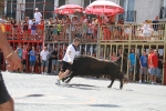 El segundo encierro de toros cerriles de Burriana se desarrolla sin incidentes