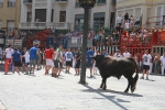 El segundo encierro de toros cerriles de Burriana se desarrolla sin incidentes