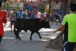 El segundo encierro de toros cerriles de Burriana se desarrolla sin incidentes