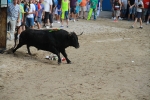 El segundo encierro de toros cerriles de Burriana se desarrolla sin incidentes