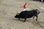 El segundo encierro de toros cerriles de Burriana se desarrolla sin incidentes