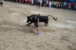 El segundo encierro de toros cerriles de Burriana se desarrolla sin incidentes