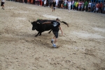 El segundo encierro de toros cerriles de Burriana se desarrolla sin incidentes