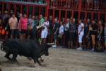 El segundo encierro de toros cerriles de Burriana se desarrolla sin incidentes