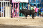 El segundo encierro de toros cerriles de Burriana se desarrolla sin incidentes