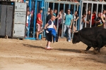 El segundo encierro de toros cerriles de Burriana se desarrolla sin incidentes