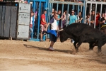 El segundo encierro de toros cerriles de Burriana se desarrolla sin incidentes