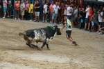 El segundo encierro de toros cerriles de Burriana se desarrolla sin incidentes