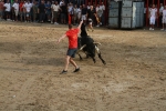 El segundo encierro de toros cerriles de Burriana se desarrolla sin incidentes