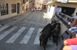 El segundo encierro de toros cerriles de Burriana se desarrolla sin incidentes