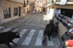 El segundo encierro de toros cerriles de Burriana se desarrolla sin incidentes