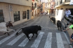 El segundo encierro de toros cerriles de Burriana se desarrolla sin incidentes