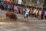 'El calor agota a los toros en 25 minutos'