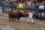 'El calor agota a los toros en 25 minutos'