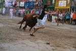 'El calor agota a los toros en 25 minutos'