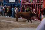 'El calor agota a los toros en 25 minutos'