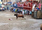 'El calor agota a los toros en 25 minutos'