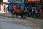 'El calor agota a los toros en 25 minutos'