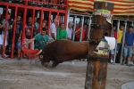 'El calor agota a los toros en 25 minutos'