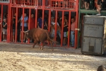 'El calor agota a los toros en 25 minutos'