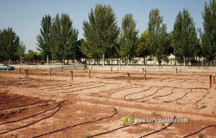abierto el plazo para optar a las instalaciones y puestos de temporada de verano noticias de almassora abierto el plazo para optar a 10 huertos urbanos en almassora abierto el plazo para optar a las instalaciones y puestos de temporada de verano noticias de almassora abierto el plazo para optar a 10 huertos urbanos en almassora