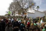 175.000 castellonenses cumplen con la tradicional Romeria de les canyes