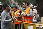 175.000 castellonenses cumplen con la tradicional Romeria de les canyes