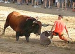 Burriana no utilizará cuerda para devolver los toros a los corrales