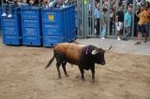 Lleno en el recinto de los toros y primer herido de la fiestas