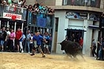 Nules abre el capítulo taurino de las fiestas de la Soledad