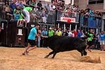 Nules abre el capítulo taurino de las fiestas de la Soledad