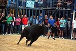 Nules abre el capítulo taurino de las fiestas de la Soledad