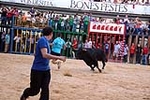 Nules abre el capítulo taurino de las fiestas de la Soledad