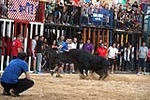 Nules abre el capítulo taurino de las fiestas de la Soledad