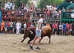 El Ayuntamiento de Burriana adquiere seis toros para la Misericòrdia